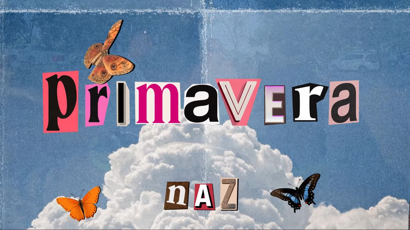 viz